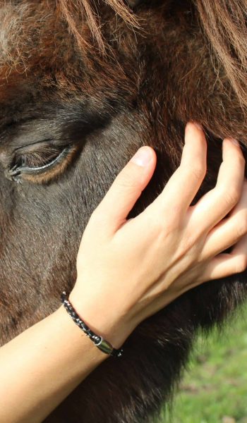 armbånd med pony armbånd med pony