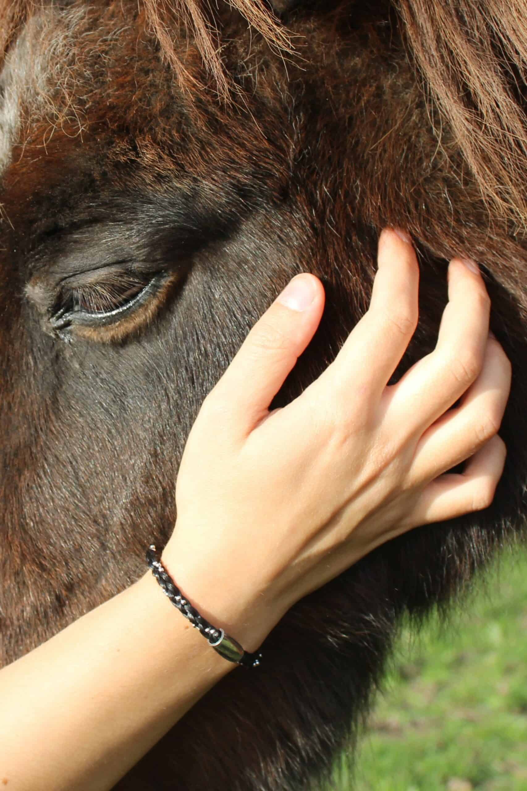 armbånd med pony armbånd med pony